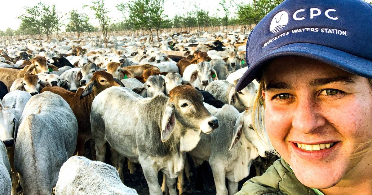 Indonesian feedlot owned by CPC provides a challenge for young Australian woman | Queensland Country Life