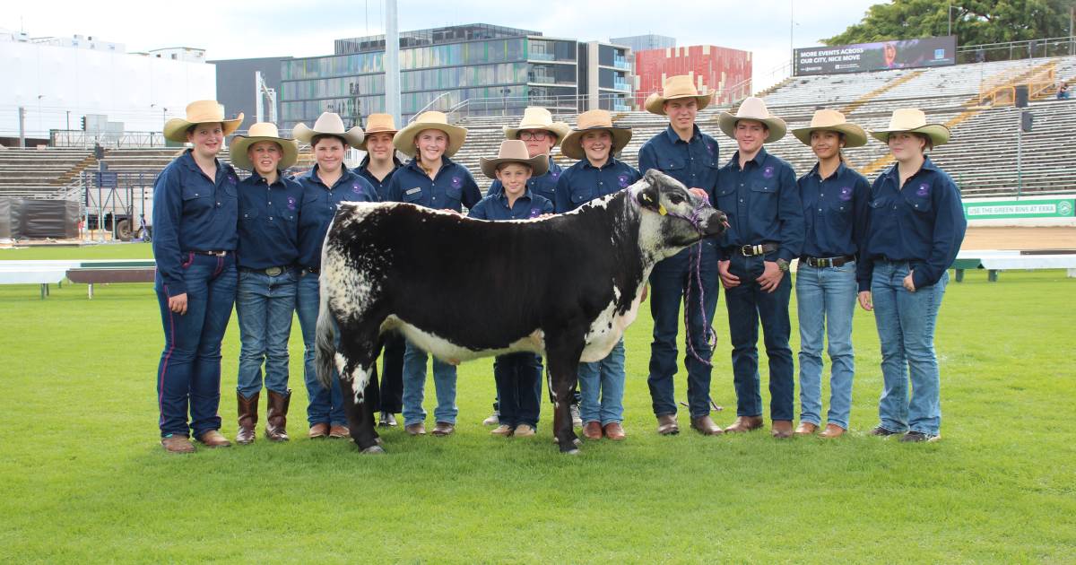 Ekka 2023: Quinalow State School’s first Ekka | Queensland Country Life