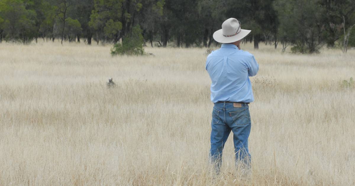 Labor backs down from land clearing ban motion at national conference | Farm Weekly