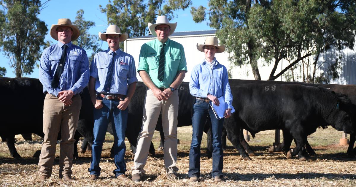 Bulk buyers jump to secure bulls at 2023 Hazeldean Northern Performance sale