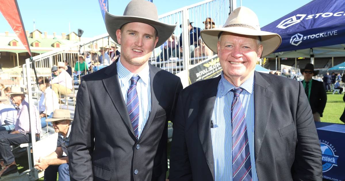 Santa Gertrudis youth ambassador Lachlan Martin busy at the Ekka | Queensland Country Life