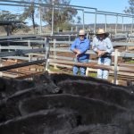 KAP’s Nick Dametto questions dismal numbers of students obtaining ag training qualifications across Queensland | Queensland Country Life