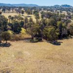 Western rain tightens numbers at Tamworth