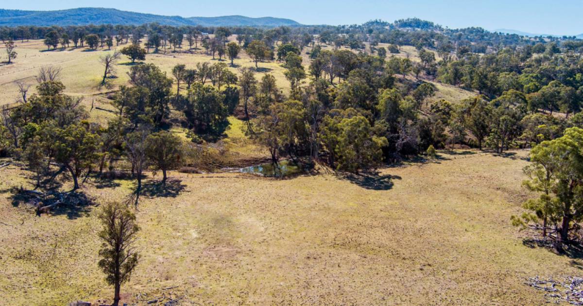 Stannum Park's magnificent rolling basalt hill country