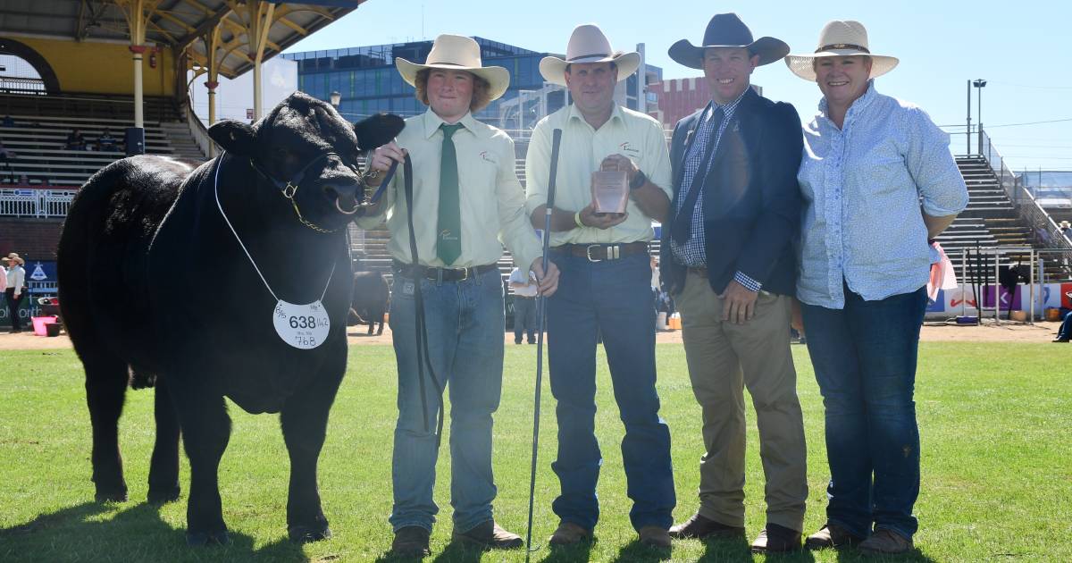 Ekka 2023: Willow Glen Tornado awarded supreme Limousin exhibit | Queensland Country Life