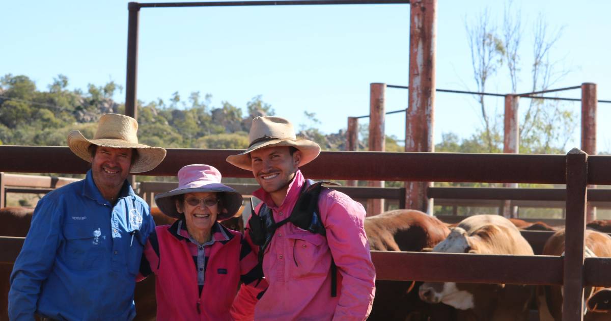 Narrien Cattle Co fine-tune beef operation to focus on fertility in their herd | Queensland Country Life