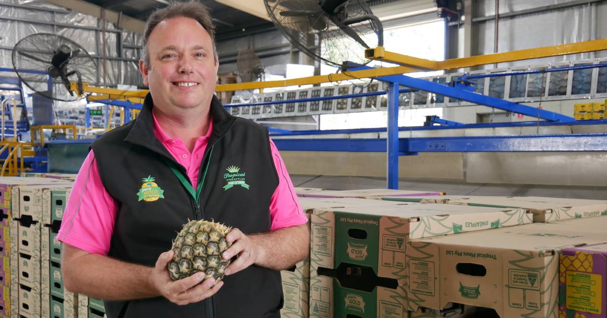 Yeppoon’s Tropical Pines shares thoughts on pineapple value-adding for busy customers | Queensland Country Life