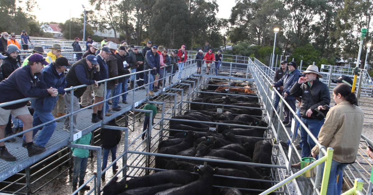 Cattle market has been repositioned