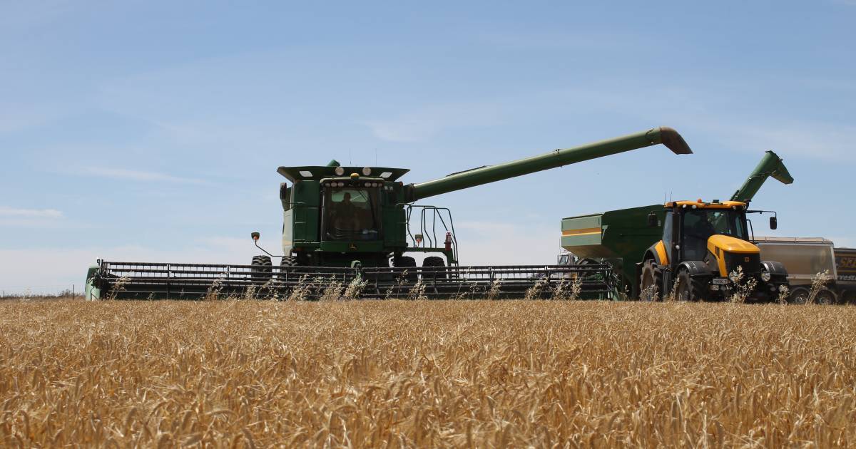 China barley breakthrough as tariffs lifted after three years | The Land