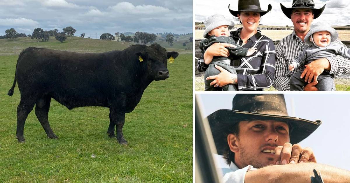 Bull sale to help family after crash claims life of 'one-of-a-kind' dad