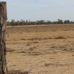 Carbon Farming and Land Restoration program round two. | Farm Weekly