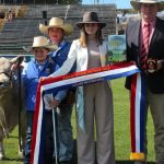 Truro Whiteface, GK Livestock and Glenlands J the major winners of 2023 Ekka interbreed