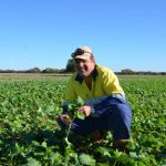 Dubbo weaner steers sell to $710