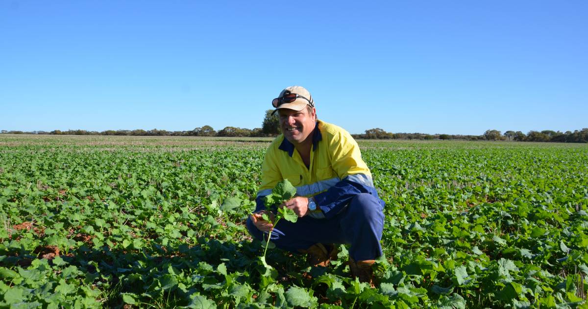 GRDC calibrating harvesting equipment workshops travelling Hyden to Cunderdin | Farm Weekly