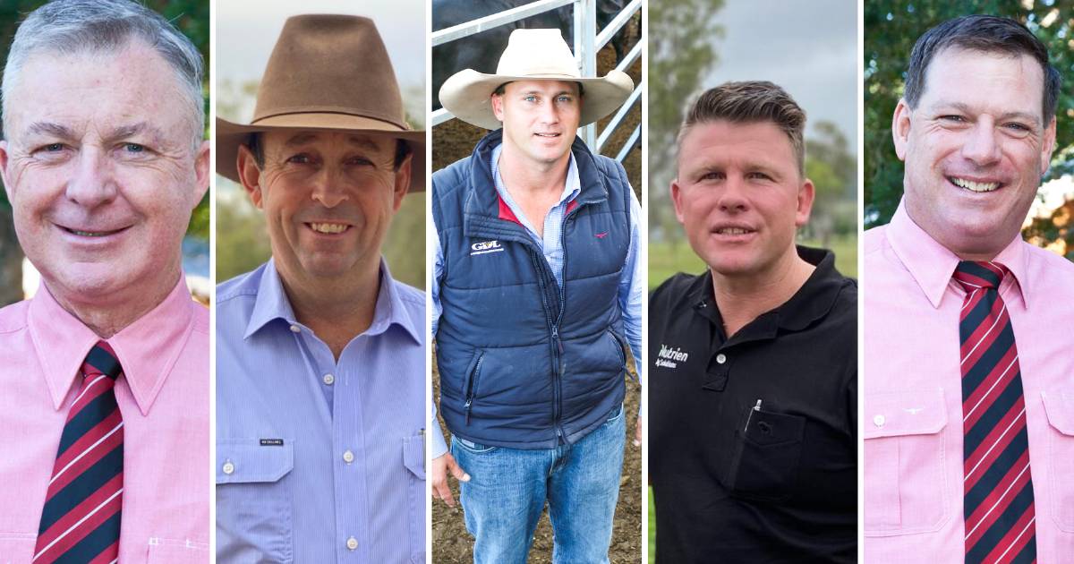 Five seasoned stock experts forecast 2023 Queensland selling season