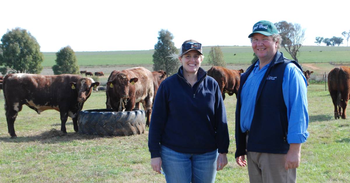 Producers urged to have plan ready for dry times