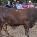 Brady remembered as a natural stockman and good mate