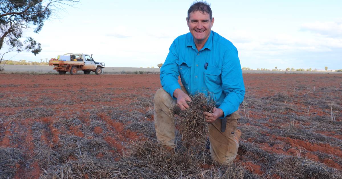 Pushing the boundaries at Perenjori