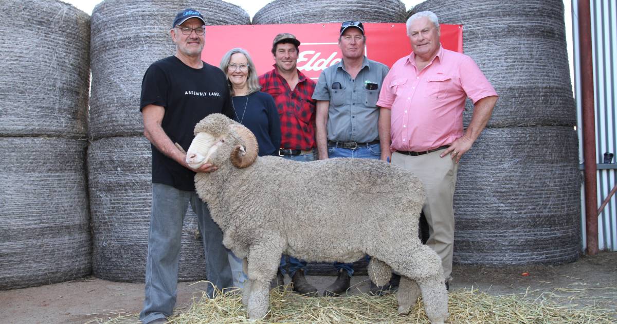 Final Cardiff sale sells to a $7400 high | Farm Weekly