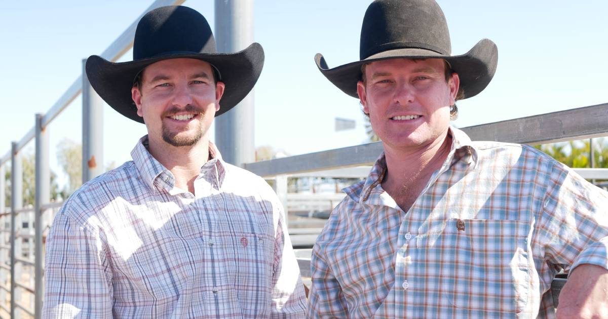 See who was at the Bauhinia Park Charolais and Angus sale in Emerald