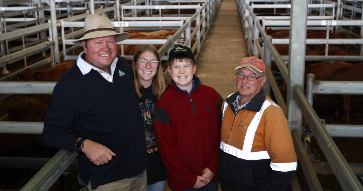 Local beef steers top $1388 at Muchea | Farm Weekly