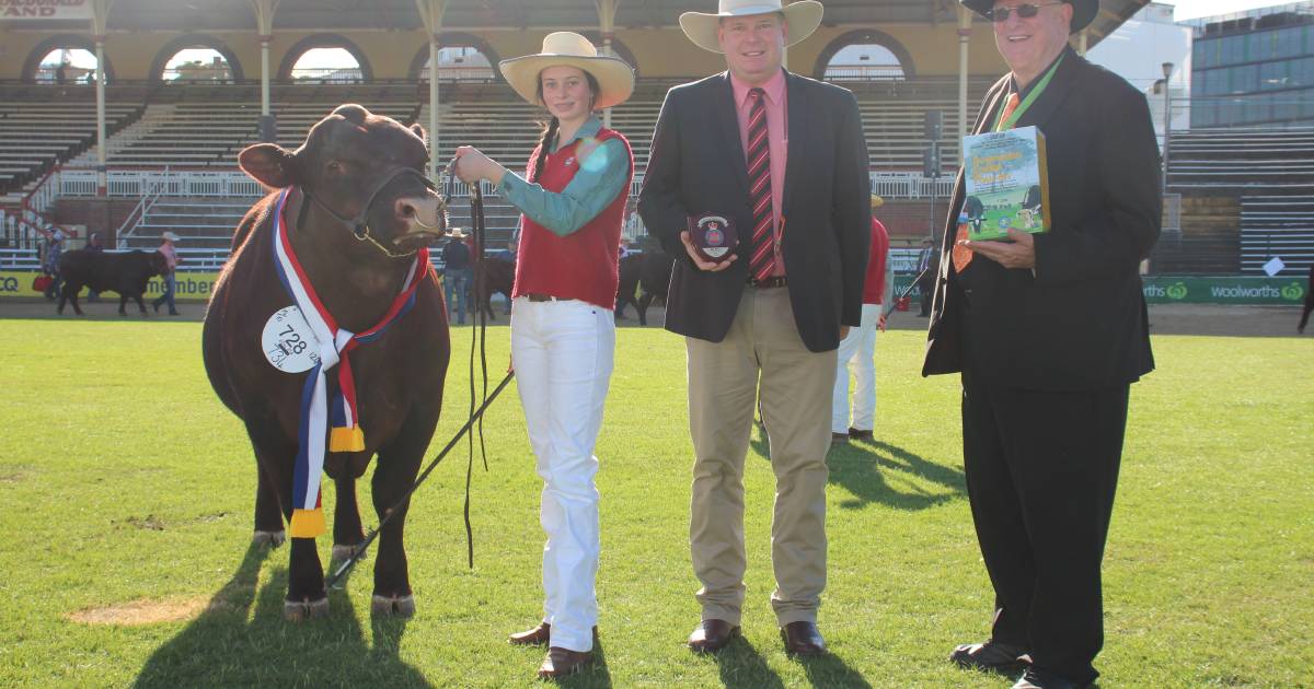 Red Poll stud from NSW crosses the border to take home ribbons