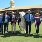 Faces of the Mount Isa Mines Rodeo