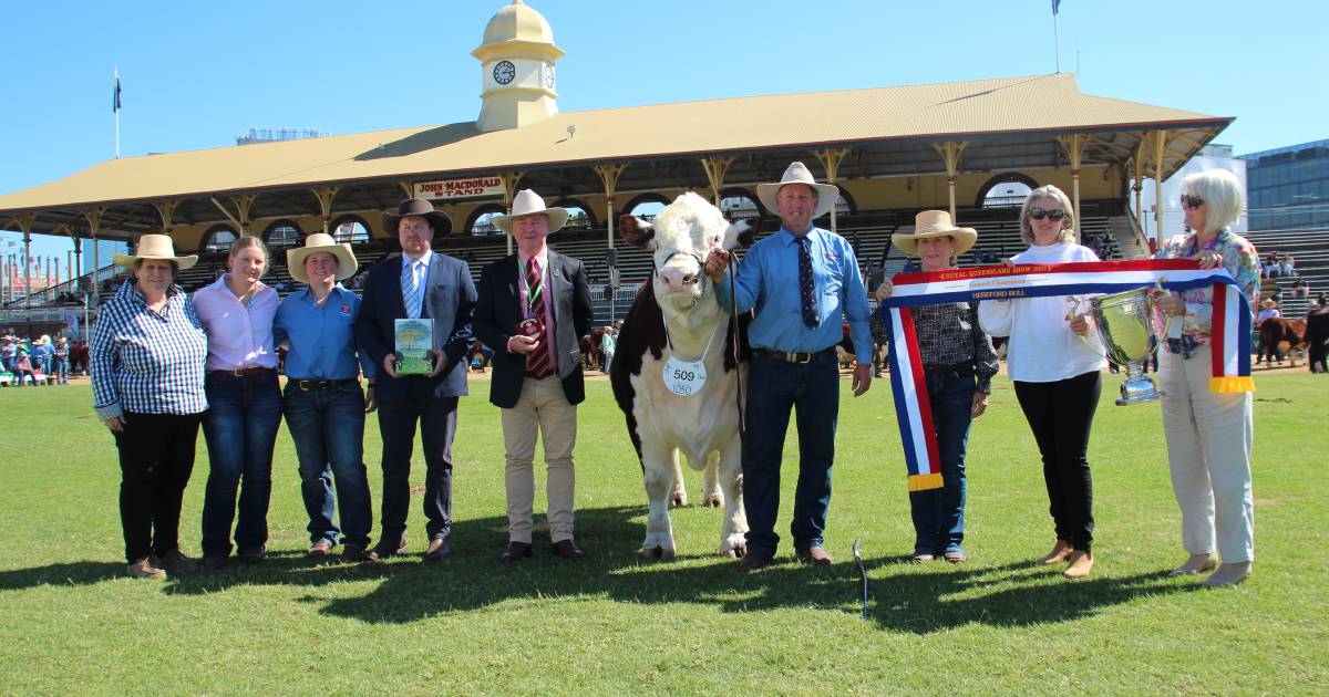 Sherlock finds back to back win in Hereford ring