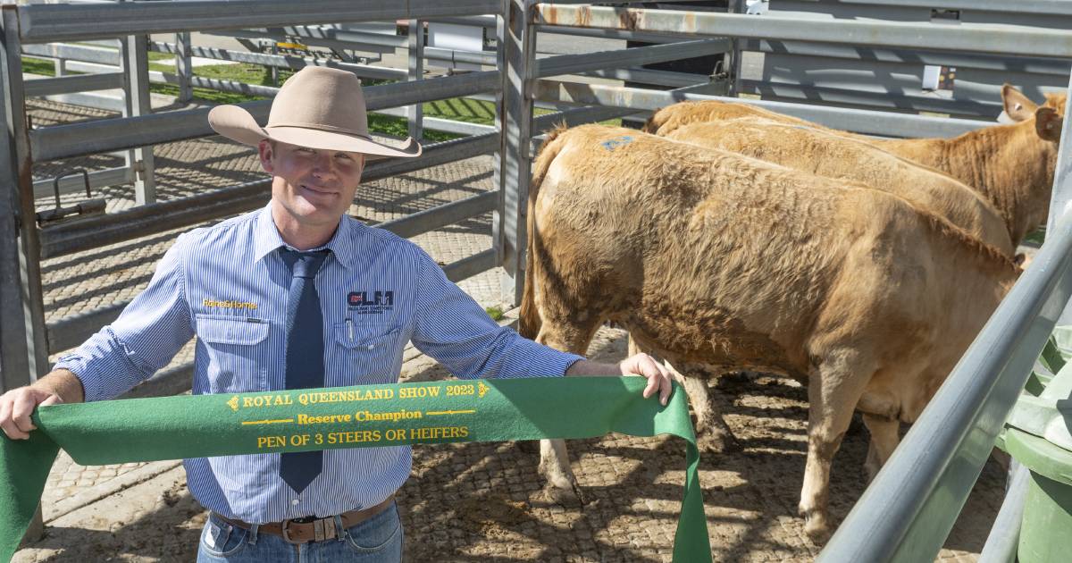 Veraart victorious at Ekka prime beef