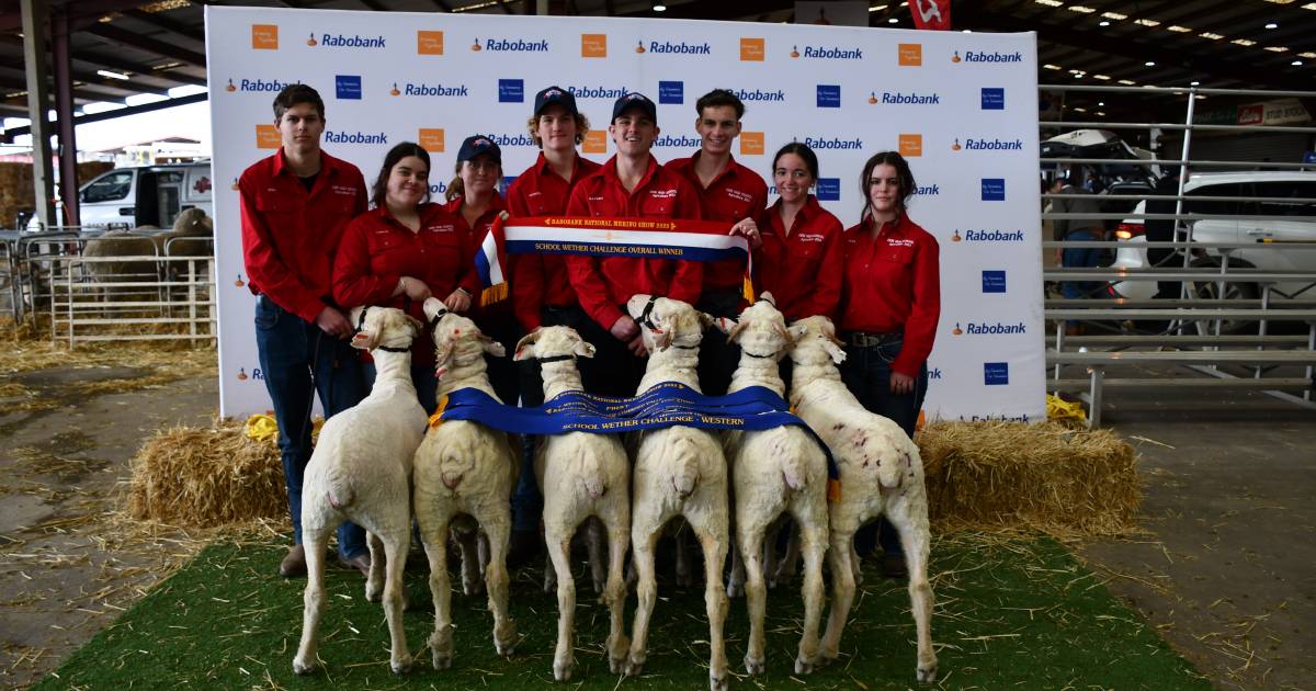 Deni High claims overall champion at NSW School Wether Challenge