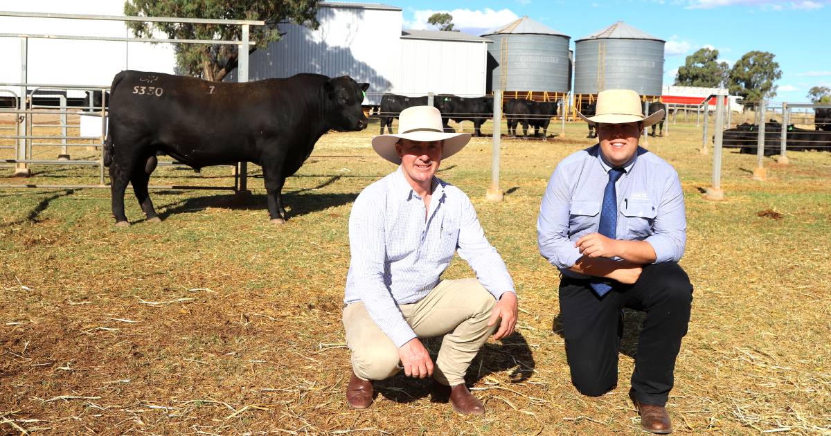 Raff Angus bulls sell to buyers from four states