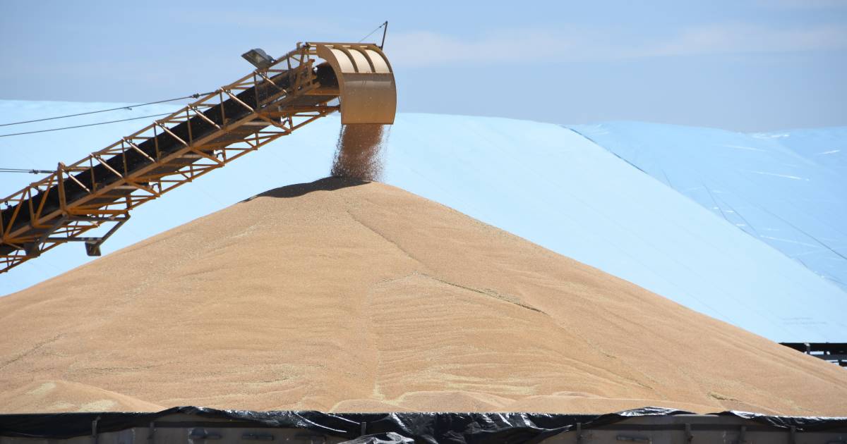 China lifts ban on two of Australia's largest grain exporters