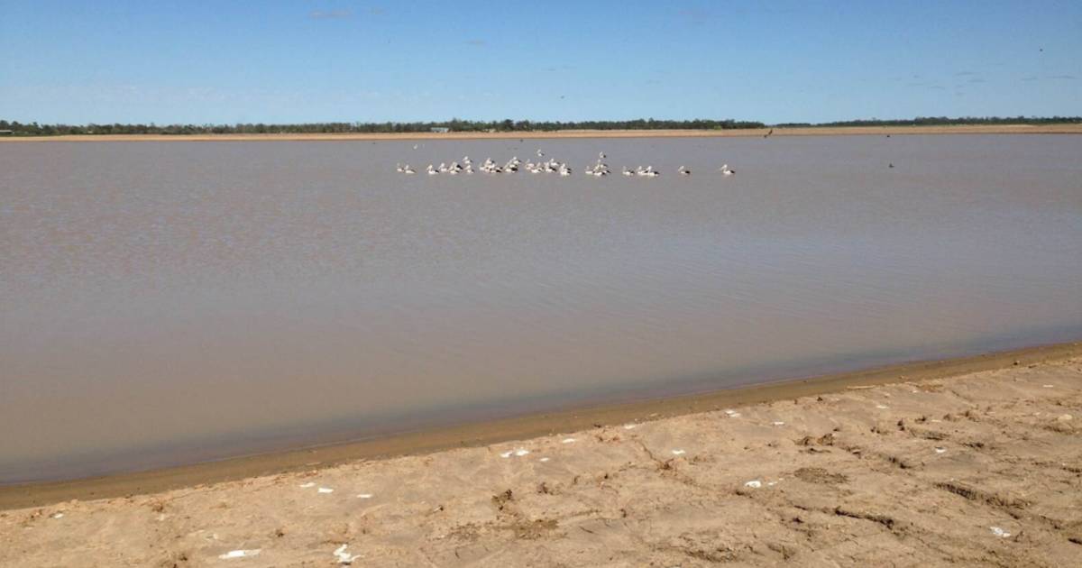 Willandra with 1150ML of irrigation water in storage