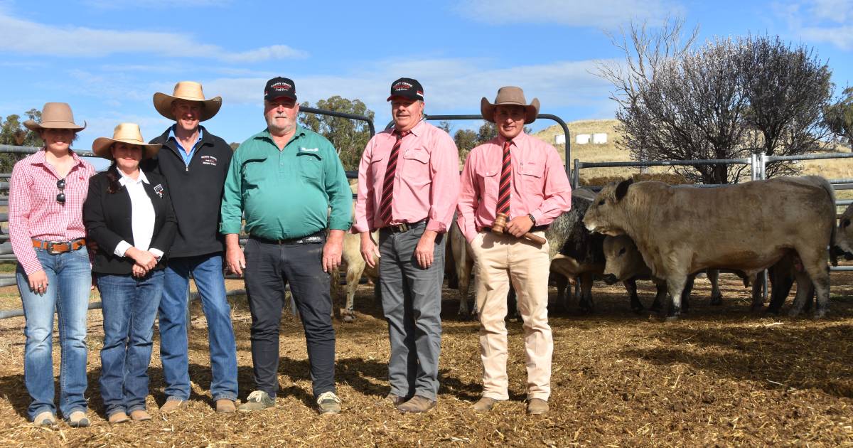 Oakey Creek top bull en route to Western Australia