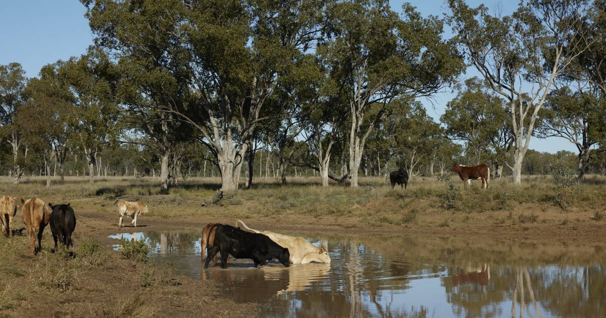 QIC beefs up natural capital with Stuart's Creek