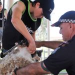 Small cattle numbers but big passion for Oakey State High