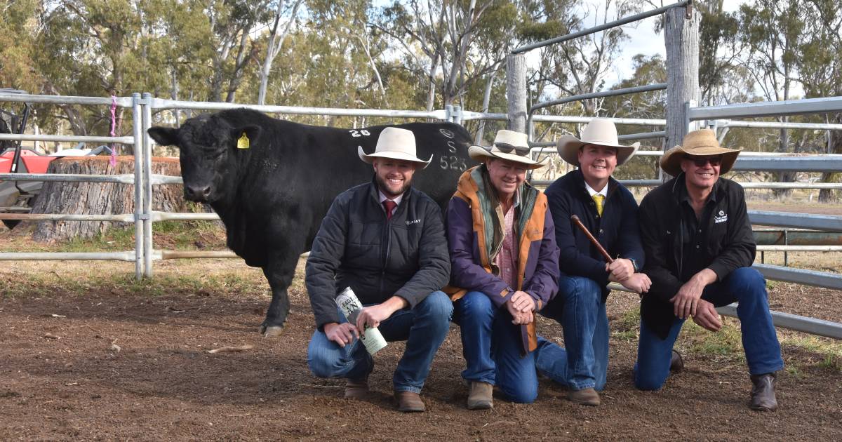 Eaglehawk Angus hit home run with $80,000 top