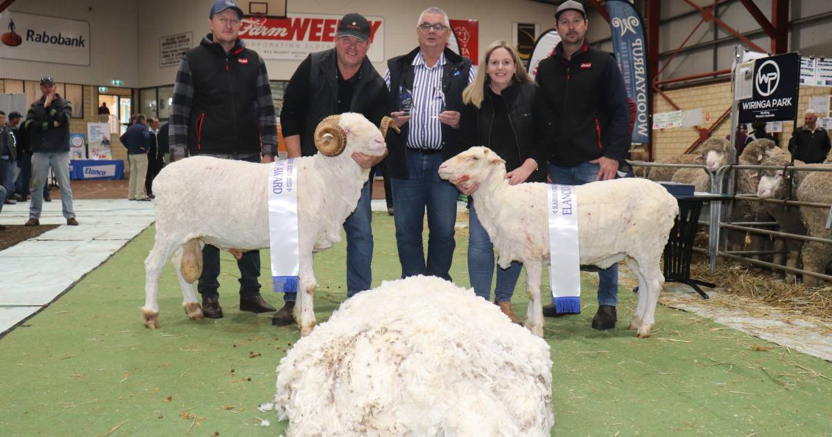 Rangeview stud wins PROram and PROewe at Katanning | Farm Weekly