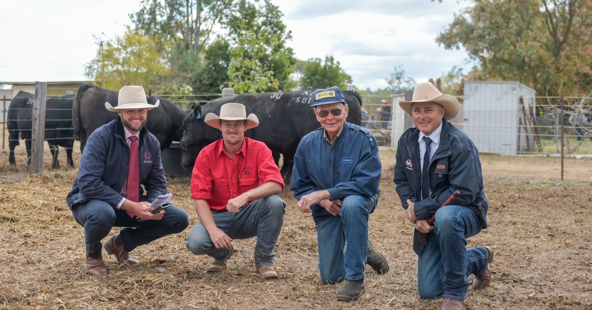 Maranoa buyers pay up at Graneta Angus sale