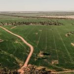 Top quality Liverpool Plains farming country on the market