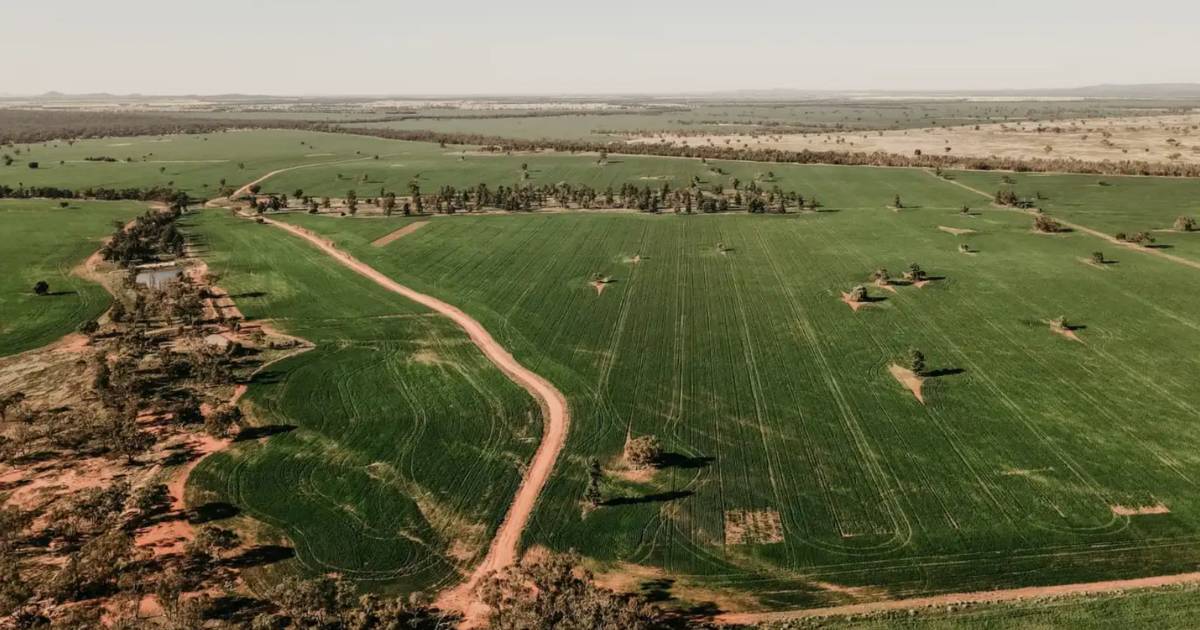 Negotiations continue on Condobolin's Glenkerry, Kurrajong Brae