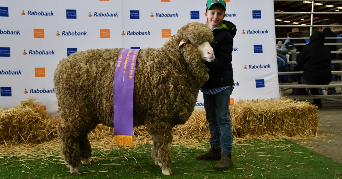 Western Australian stud's success at Dubbo