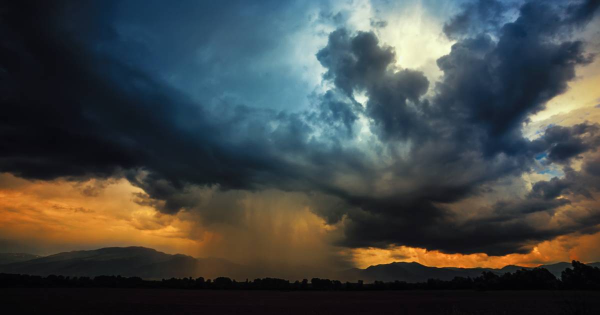 Tale of two contrasting grain growing seasons