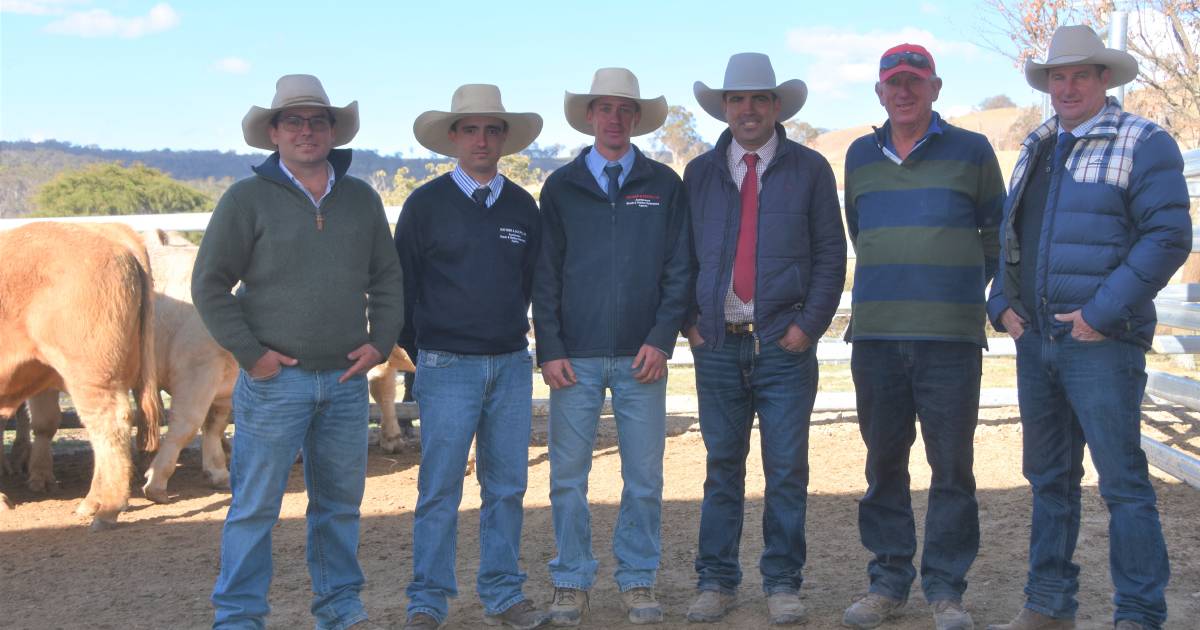 Wakefield Charolais bull tops at $14,000