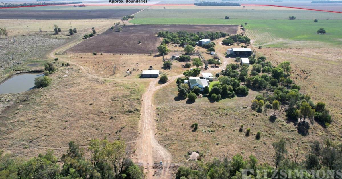 Versatile brigalow/belah country off to auction