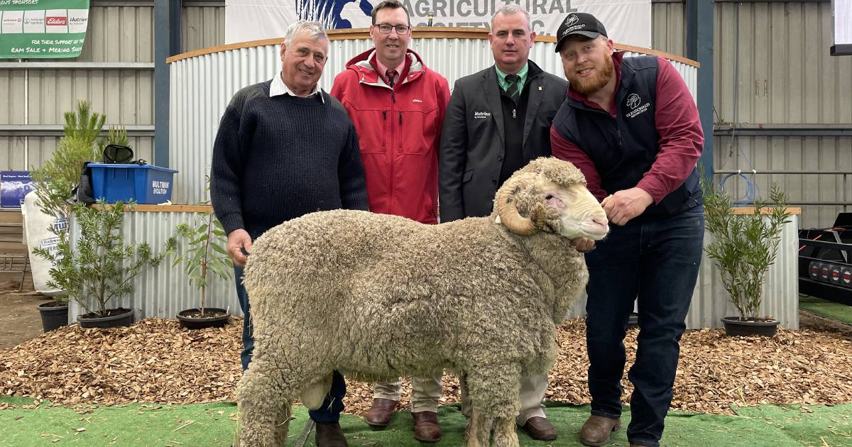 Glendonald Merinos tops Sheepvention 2023 Merino and Corriedale ram sale | The Land