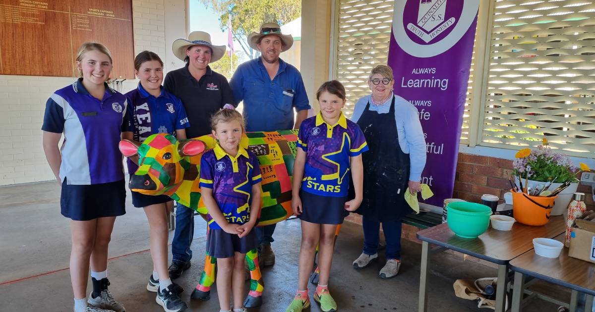 Students learn more about the dairy industry through the PIsacco cow program. | Queensland Country Life