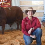 Coolabunia Limousin group achieves total clearance at second annual bull sale | Queensland Country Life