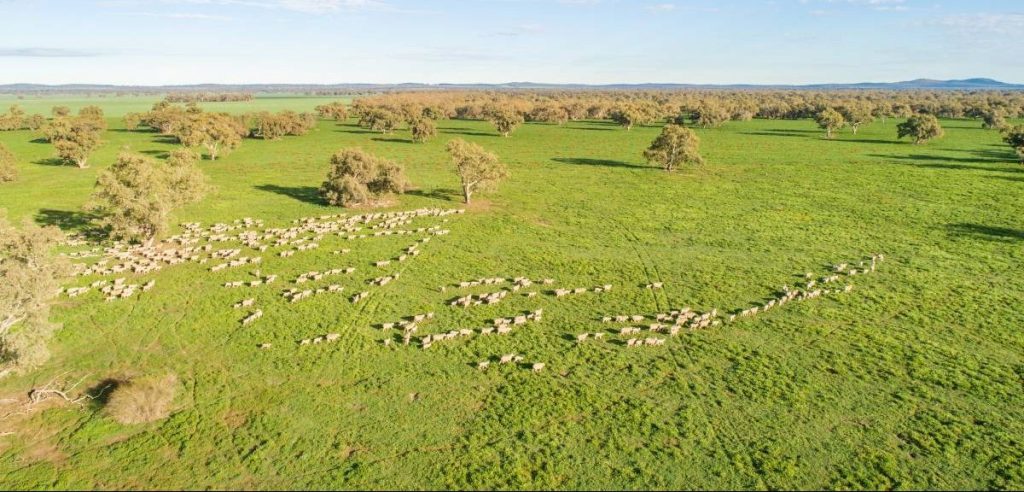 Lachlan Valley aggregation offers scale, water entitlements