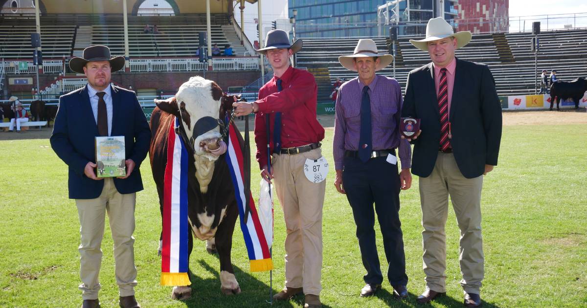 Ekka 2023: Braford's show quality over quantity